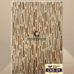 Model : CHS – 01